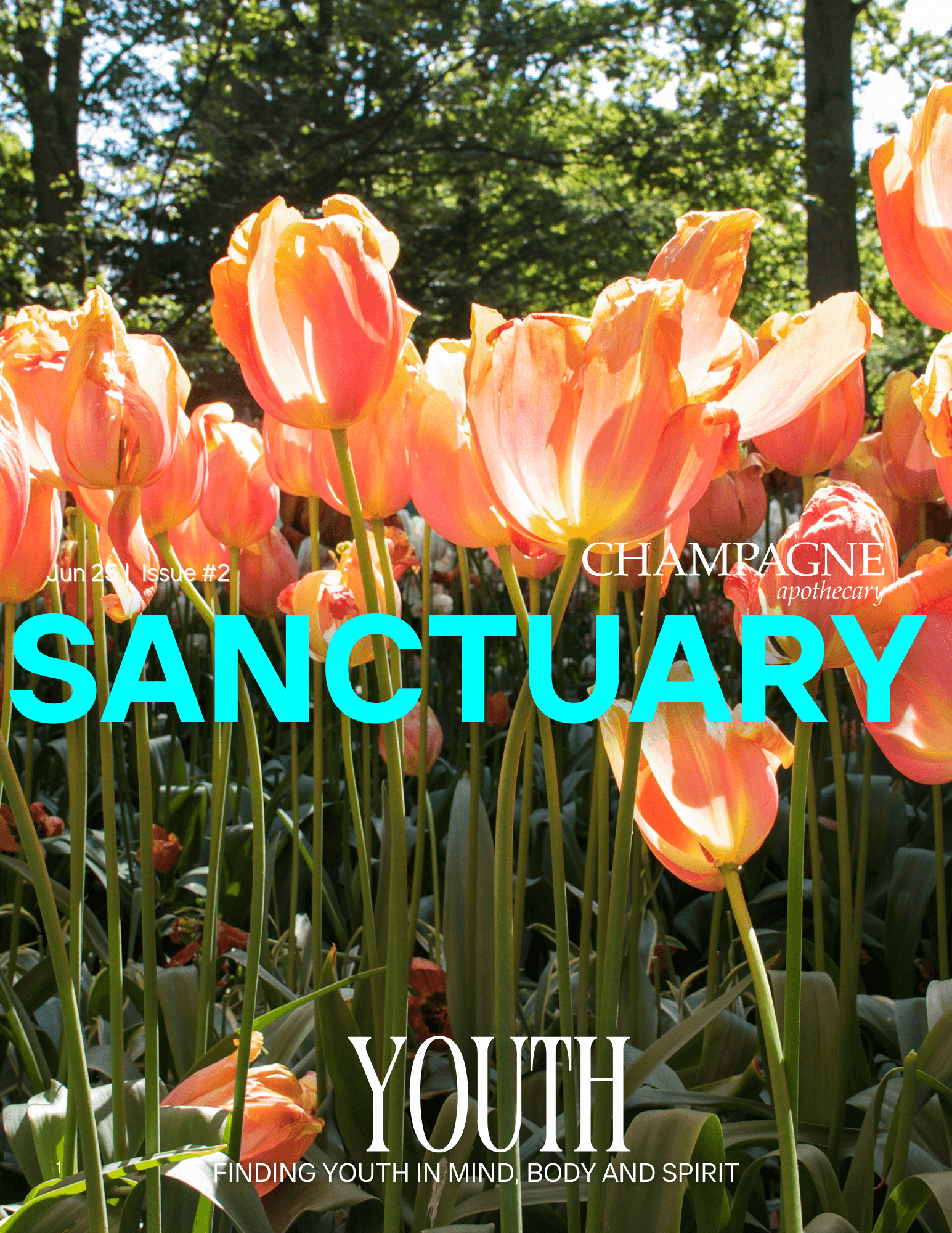Champagne Apothecary's Sanctuary Magazine June '25 | Issue #6