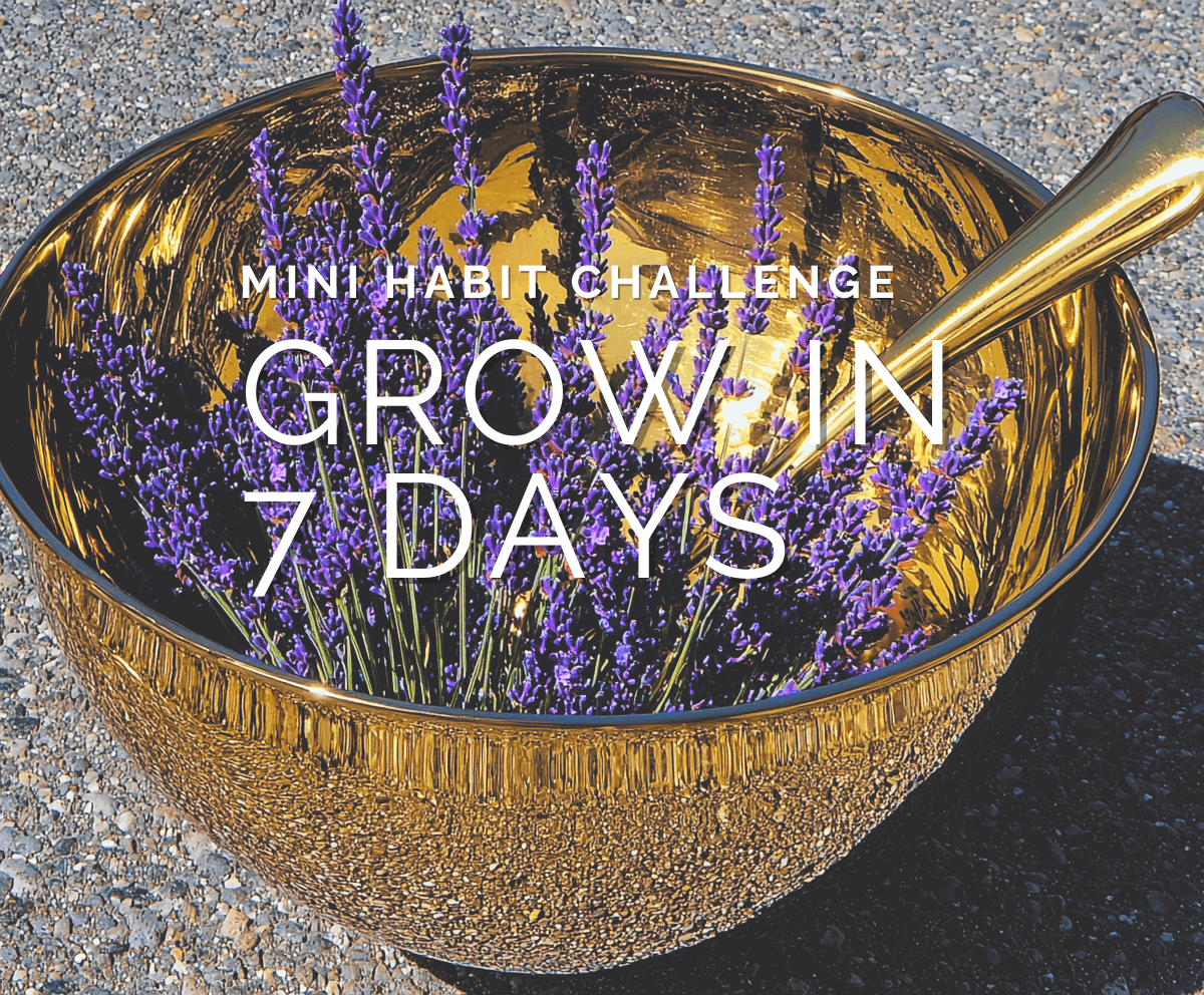 Mini Habit Challenge: Grow in 7 Days