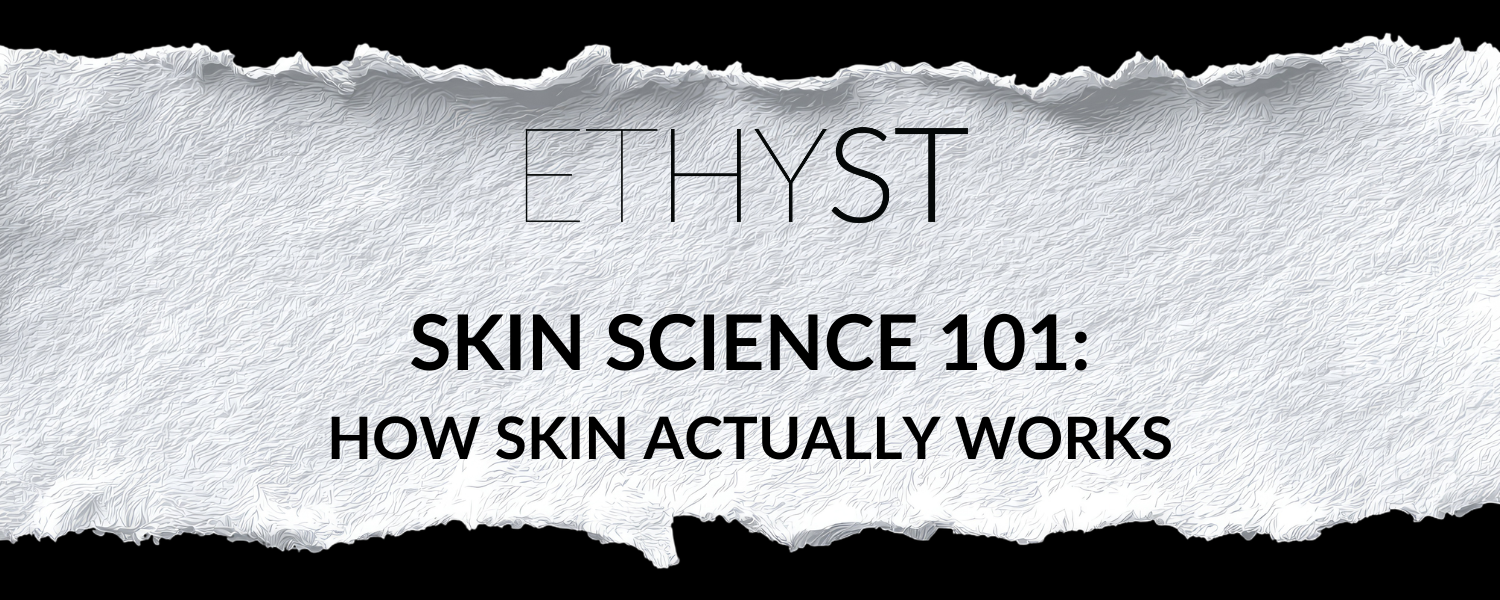 Skin Science 101: How Skin Actually Works
