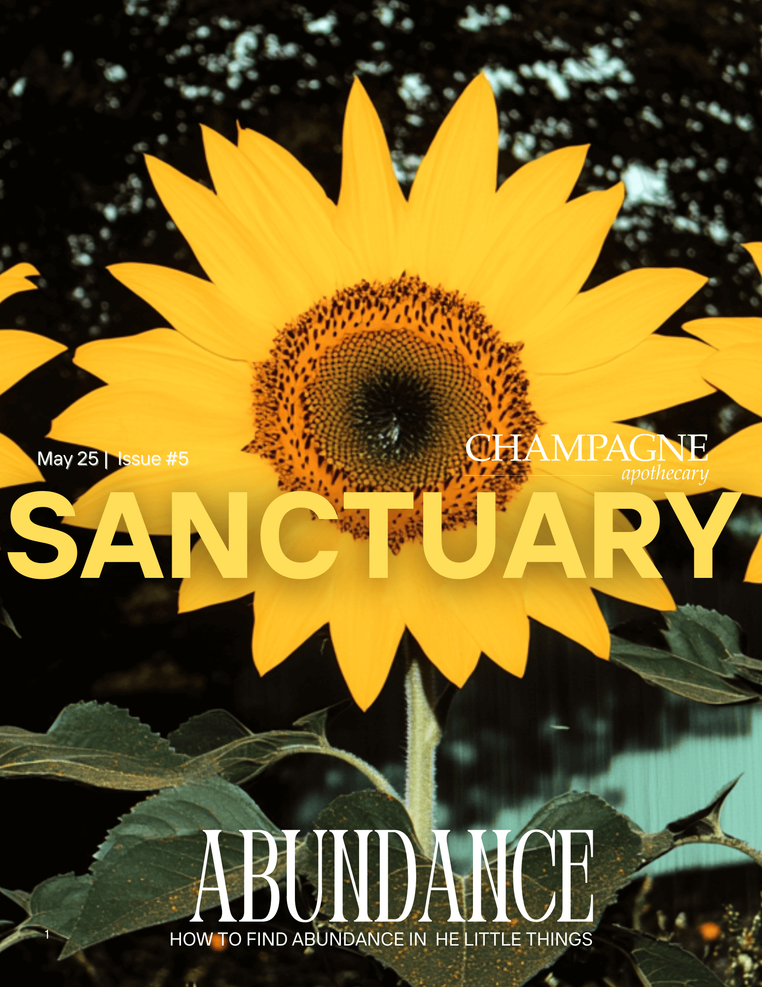 Champagne Apothecary's Sanctuary Magazine May '25 | Issue #5